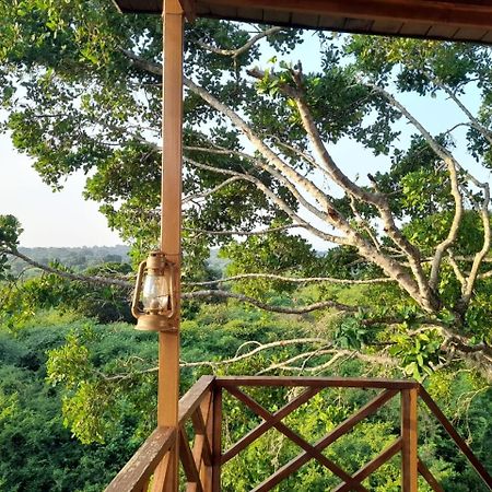 Leopard Nest - Glamping In Yala 호텔 외부 사진