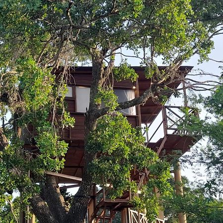 Leopard Nest - Glamping In Yala 호텔 외부 사진