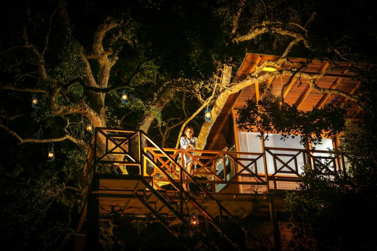 Leopard Nest - Glamping In Yala 호텔 외부 사진