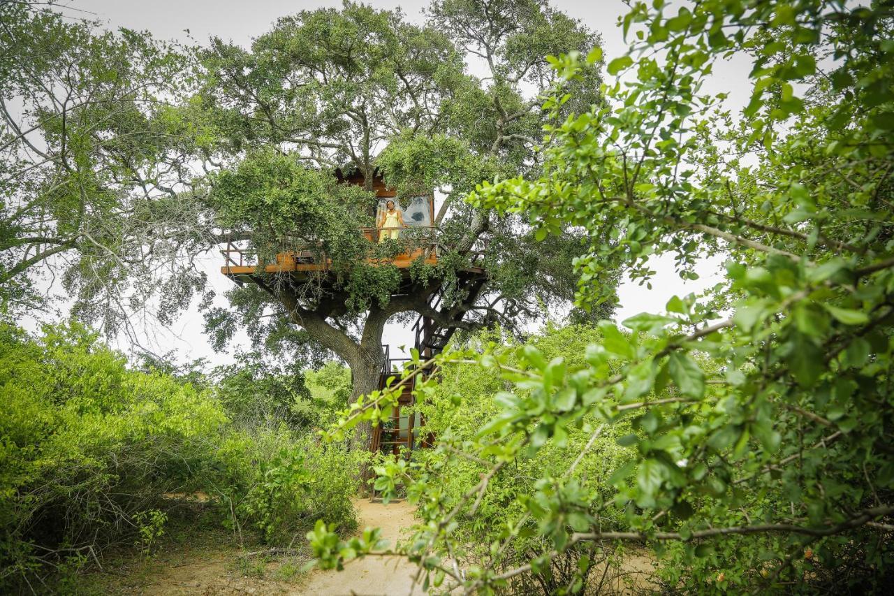 Leopard Nest - Glamping In Yala 호텔 외부 사진