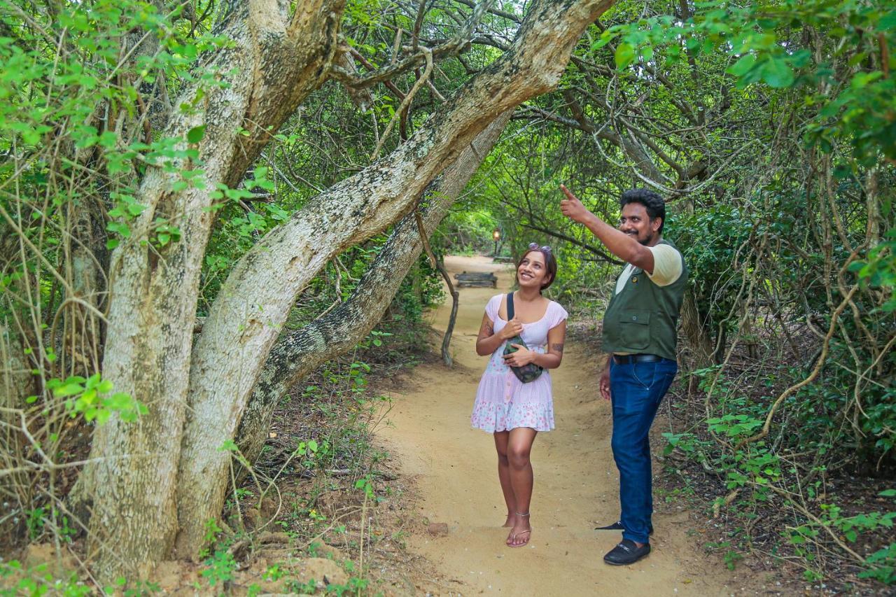 Leopard Nest - Glamping In Yala 호텔 외부 사진