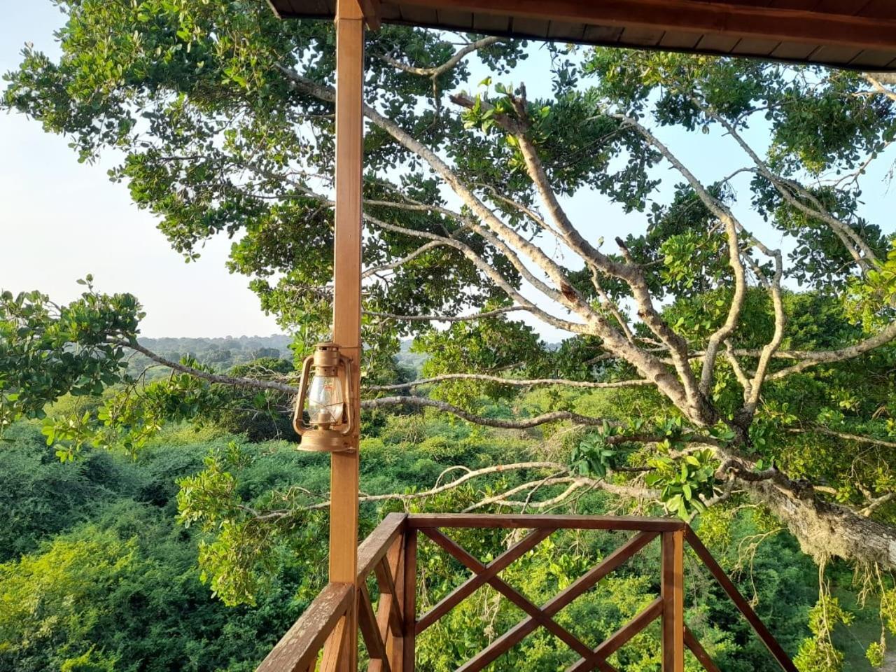 Leopard Nest - Glamping In Yala 호텔 외부 사진