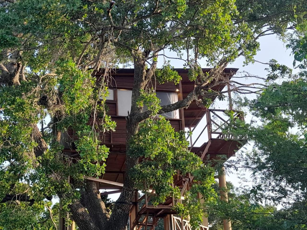 Leopard Nest - Glamping In Yala 호텔 외부 사진