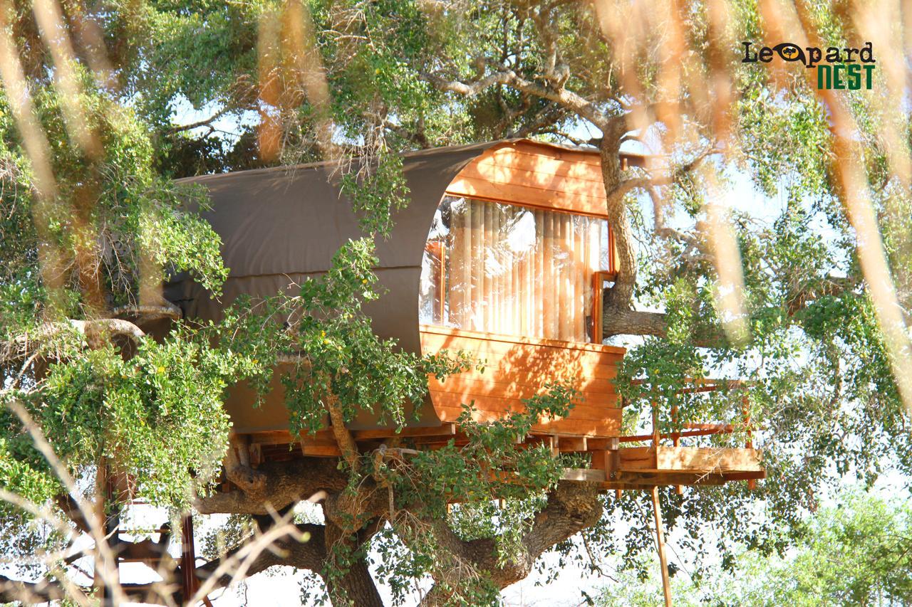 Leopard Nest - Glamping In Yala 호텔 외부 사진
