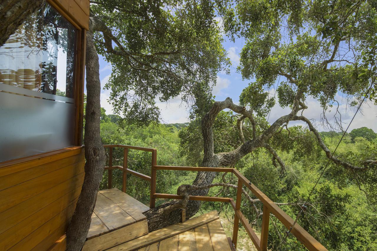 Leopard Nest - Glamping In Yala 호텔 외부 사진