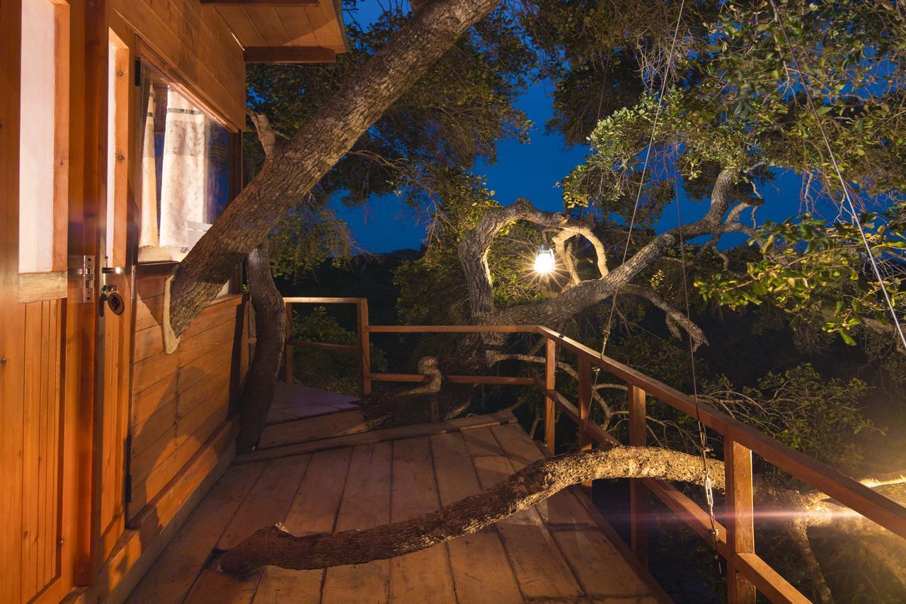Leopard Nest - Glamping In Yala 호텔 외부 사진